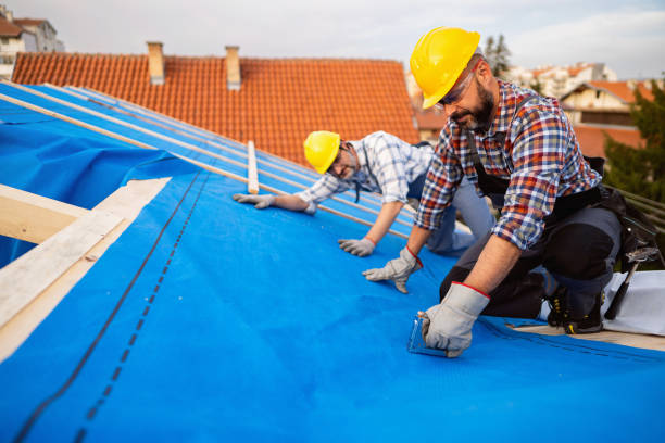 Quick and Trustworthy Emergency Roof Repair Services in Toledo, OR