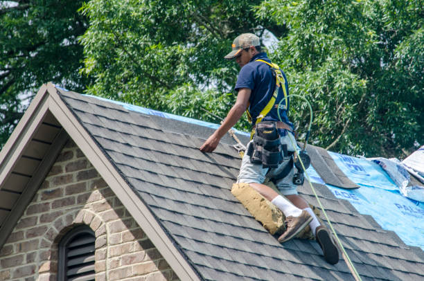 Best Roof Leak Repair  in Toledo, OR